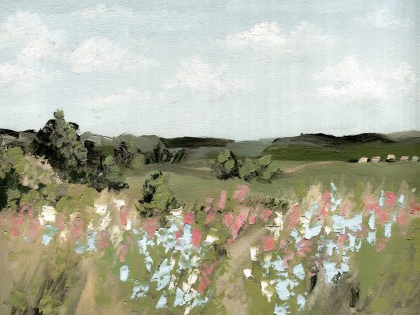 Spring Meadow For Discount